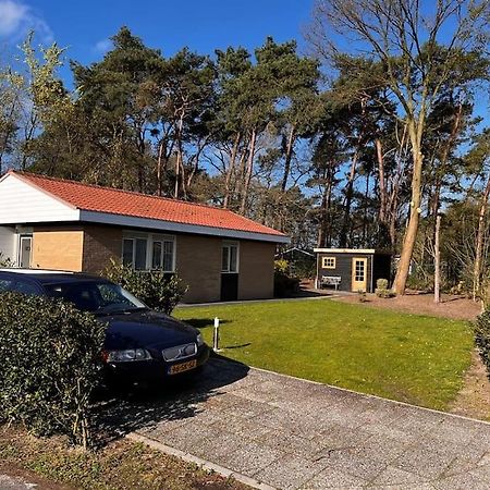 Fijne Plek Met Eigen Bos 2000M2 En Gratis Linnen En Handdoeken!! 데네캄프 외부 사진