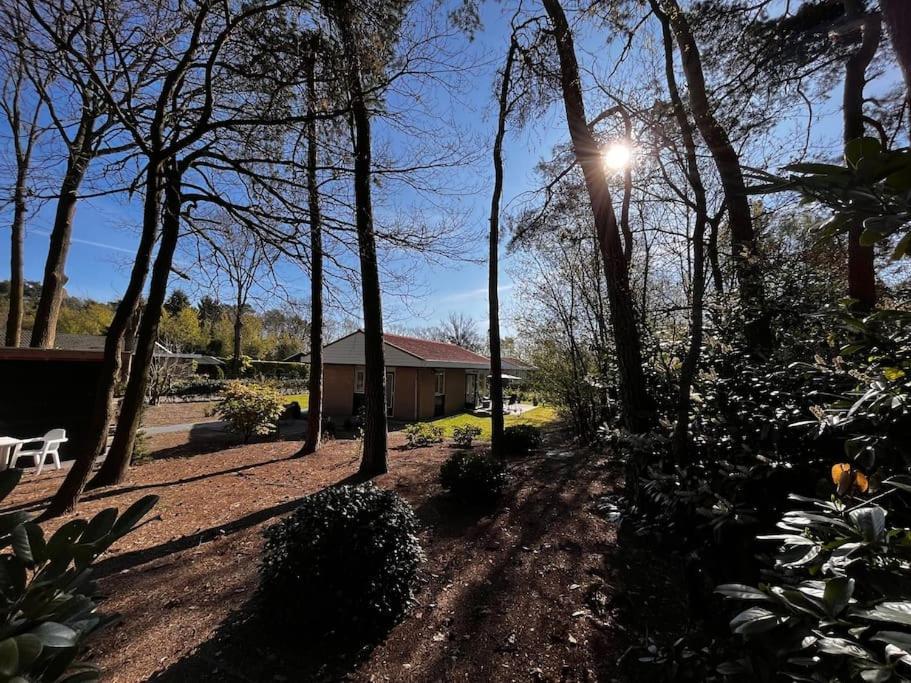 Fijne Plek Met Eigen Bos 2000M2 En Gratis Linnen En Handdoeken!! 데네캄프 외부 사진
